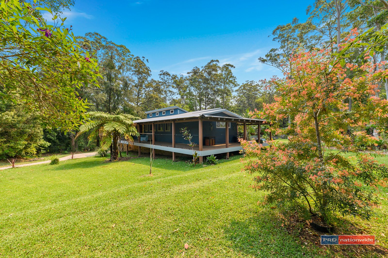 24 Tree Fern Close REPTON 24