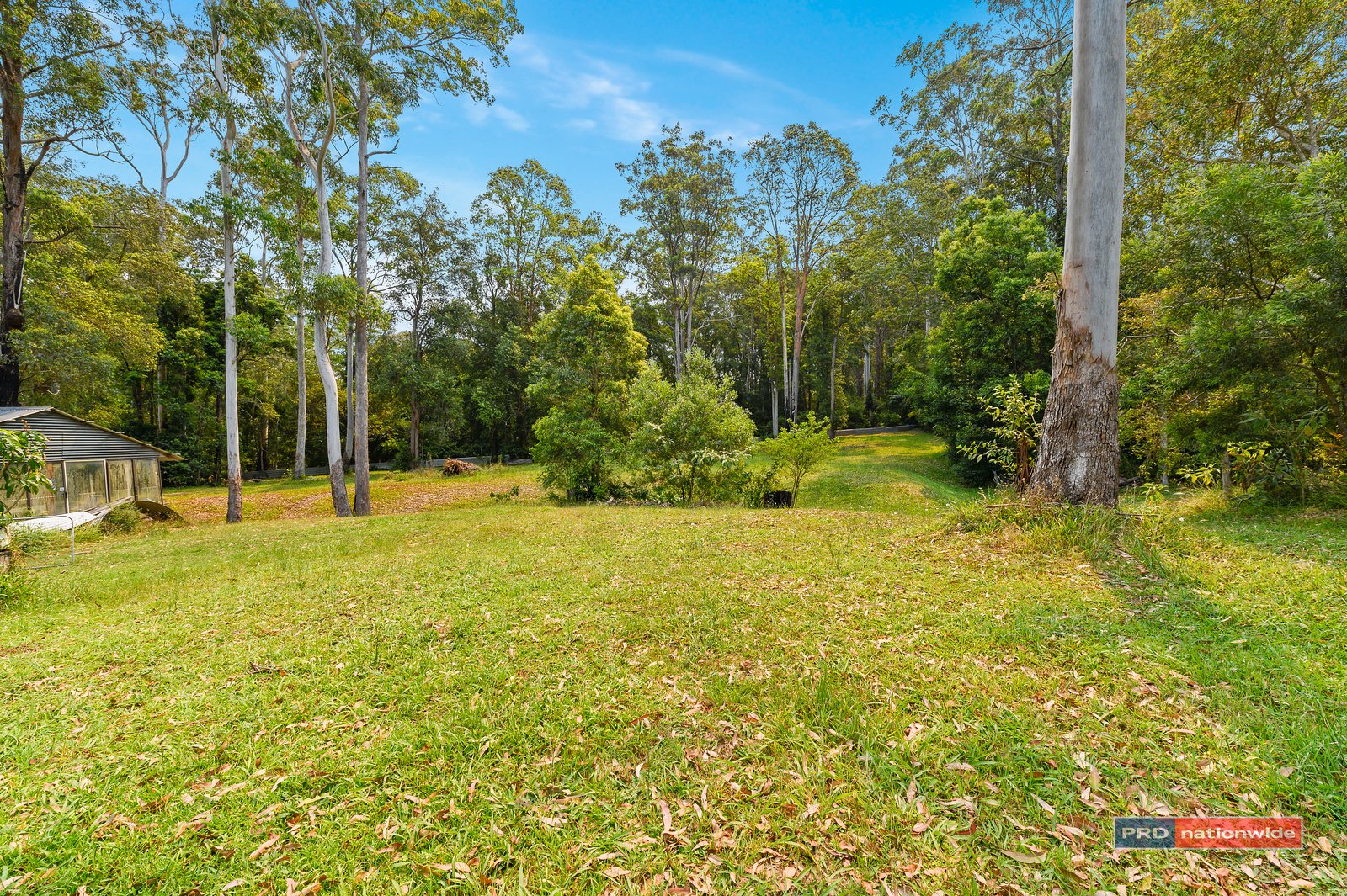 24 Tree Fern Close REPTON 25