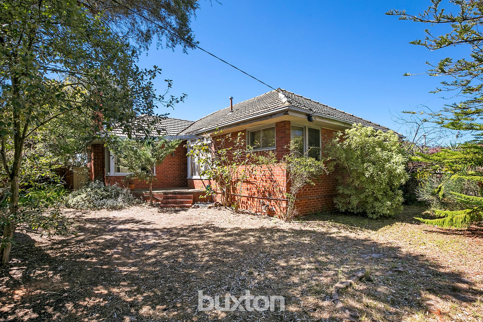 Gallery: 24 Tulip Grove