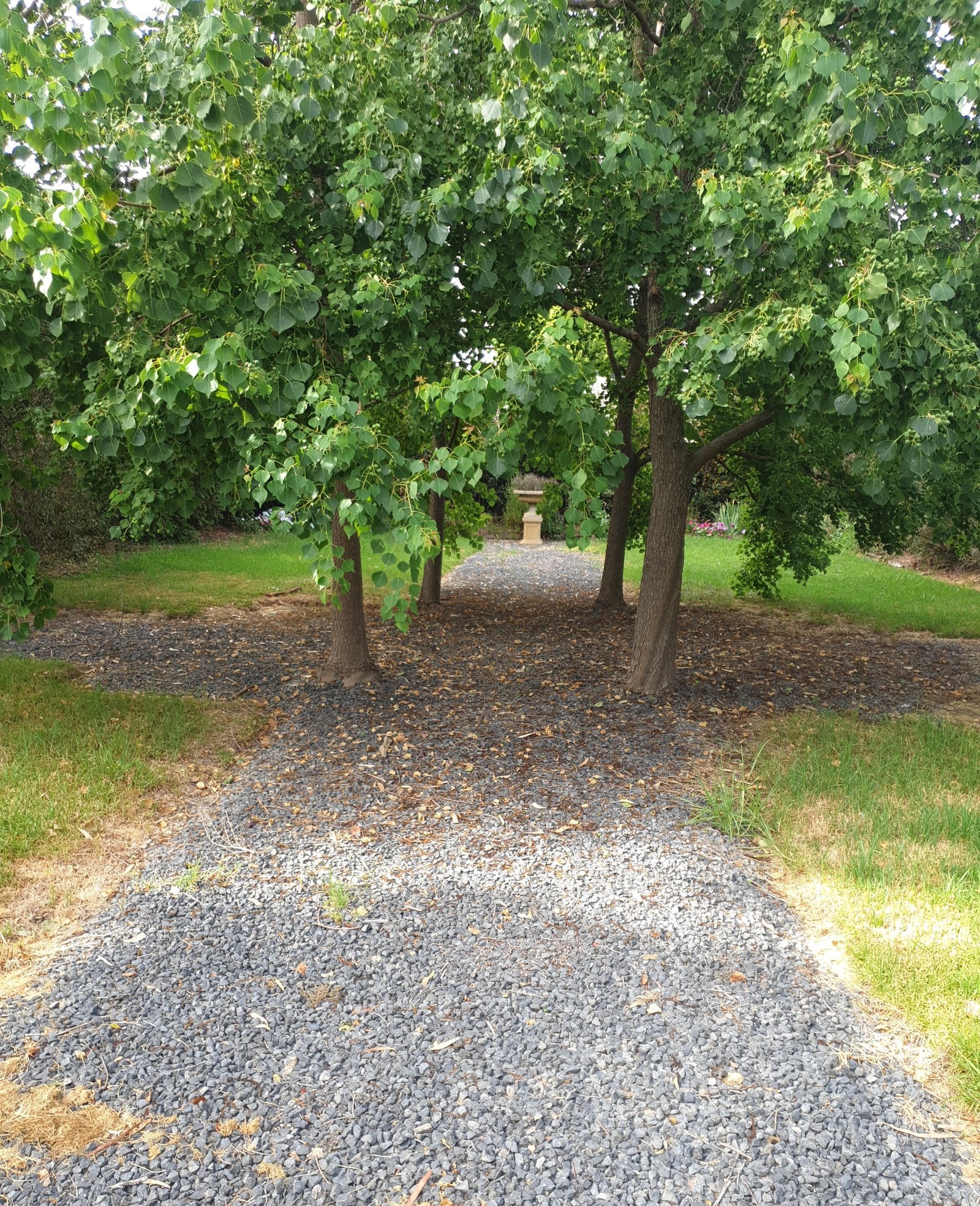 24 Tumut Street TUMUT 12