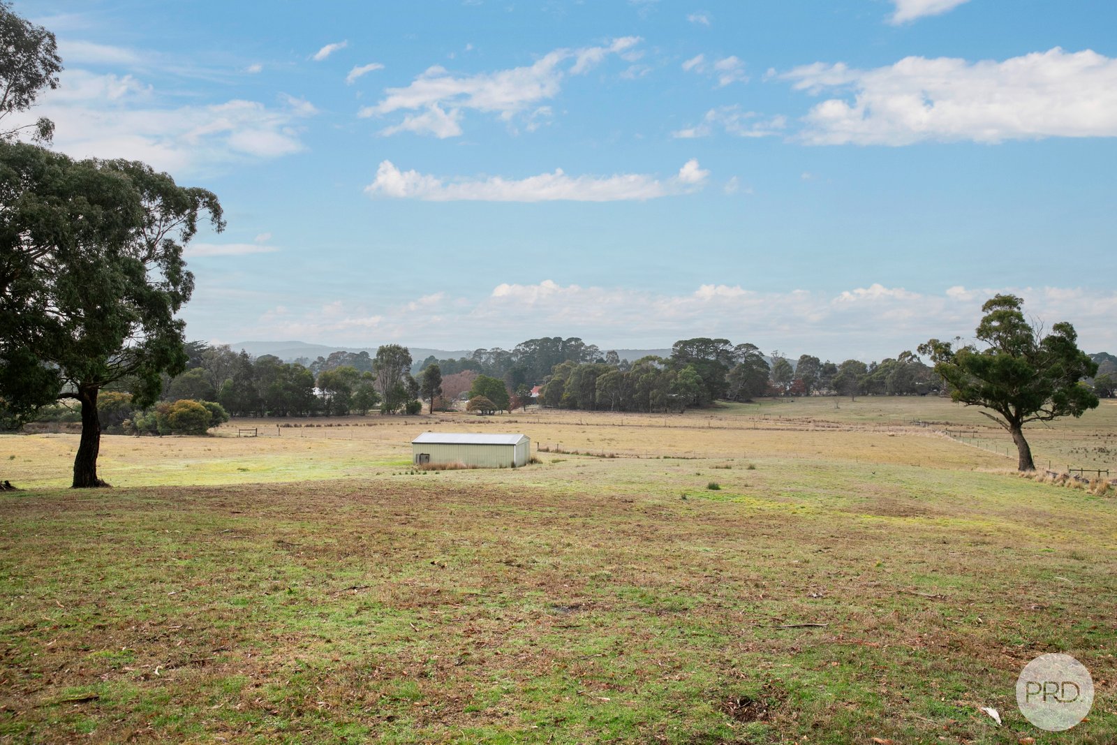 24 Waverley Street LINTON 16