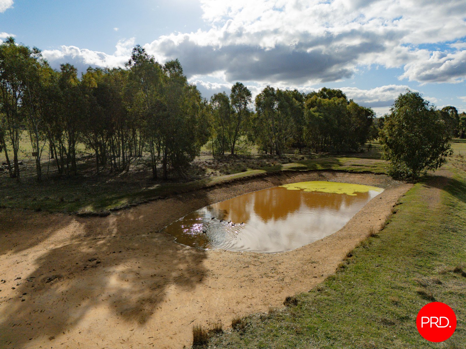 24 Wellsford Road LONGLEA 26