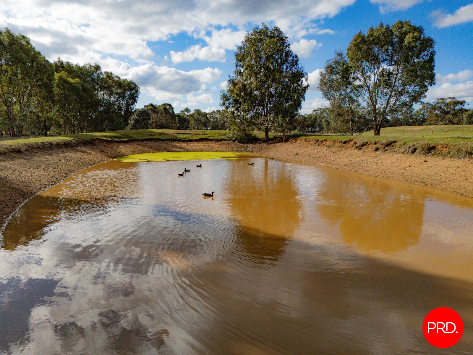 24 Wellsford Road LONGLEA 27