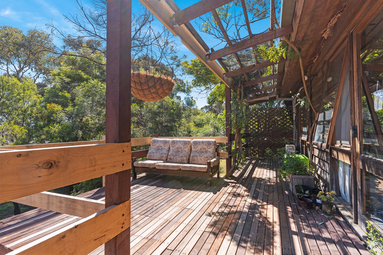 24 Wirth Street FLORA HILL 14