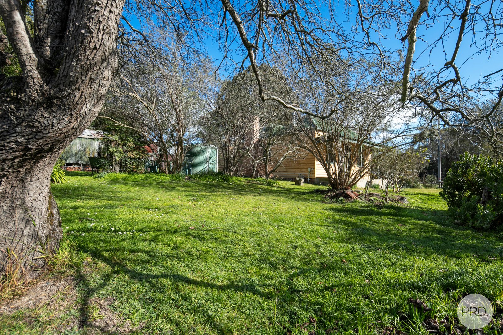 24 York Street GOLDEN POINT 3