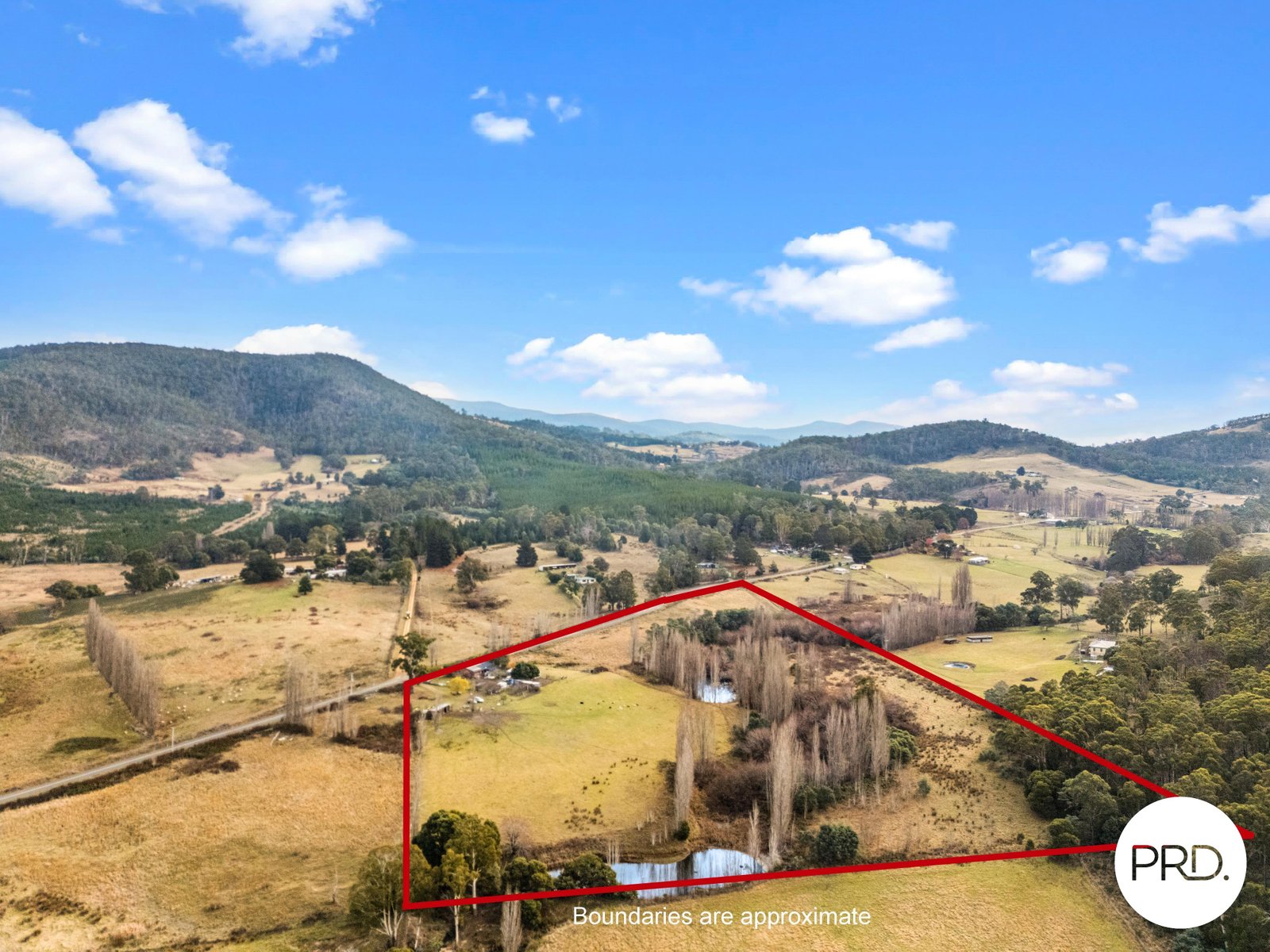 240 Ellendale Road FENTONBURY 1