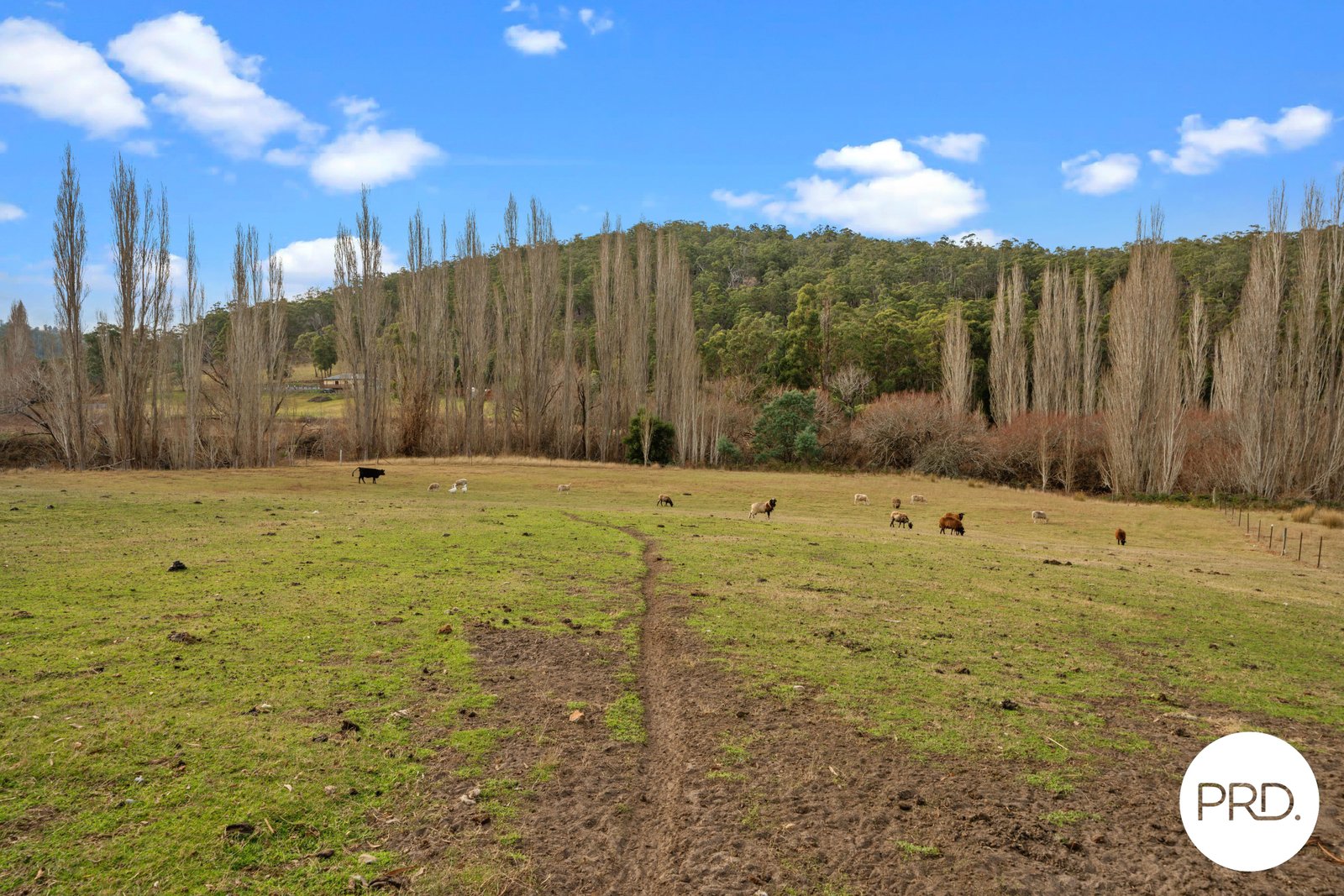 240 Ellendale Road FENTONBURY 15