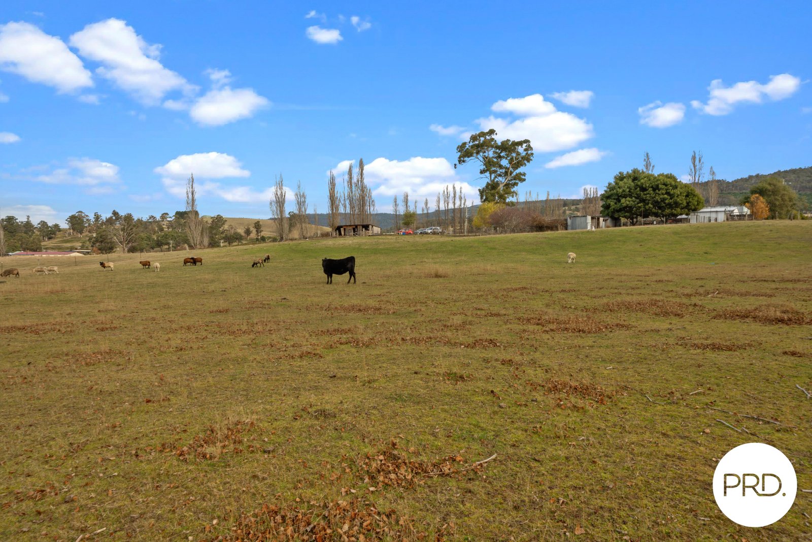 240 Ellendale Road FENTONBURY 16