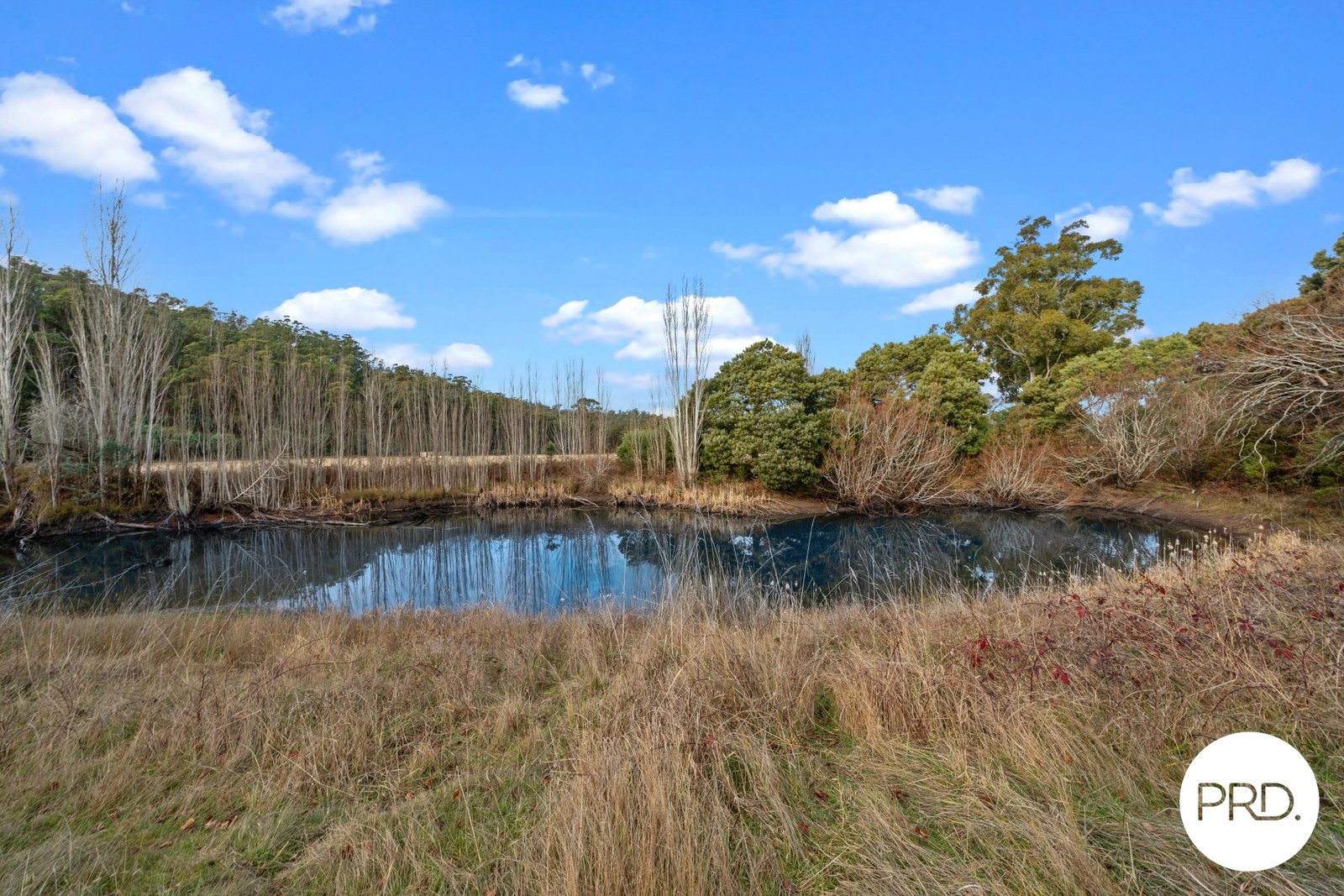 240 Ellendale Road FENTONBURY 17