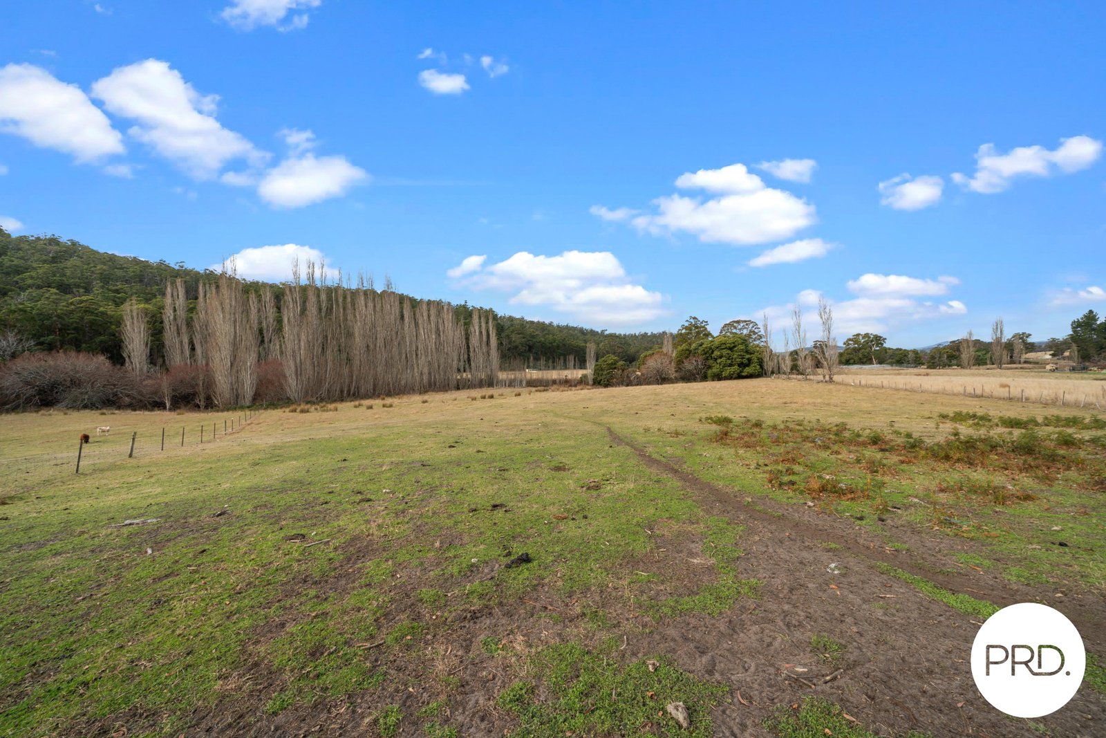 240 Ellendale Road FENTONBURY 24