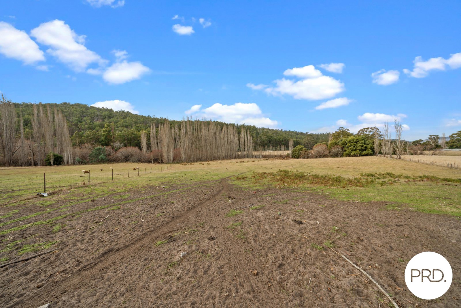 240 Ellendale Road FENTONBURY 30