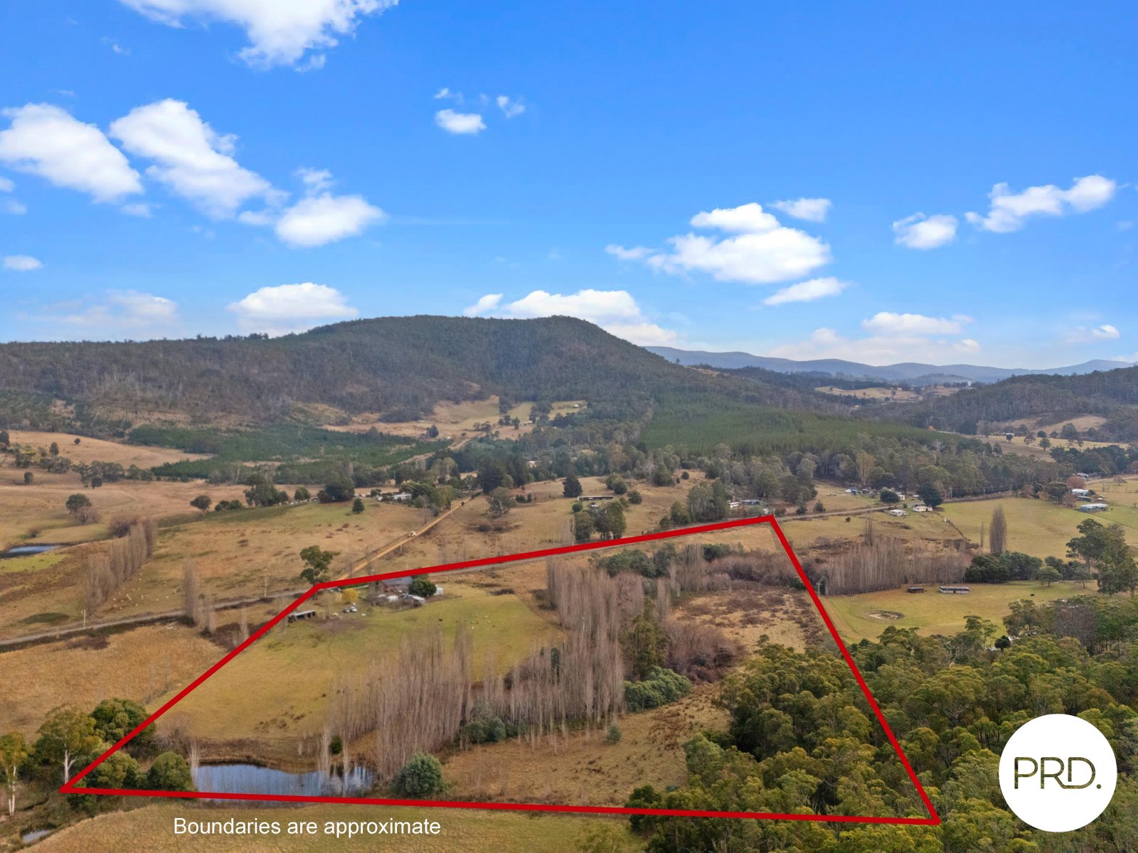 240 Ellendale Road FENTONBURY 31