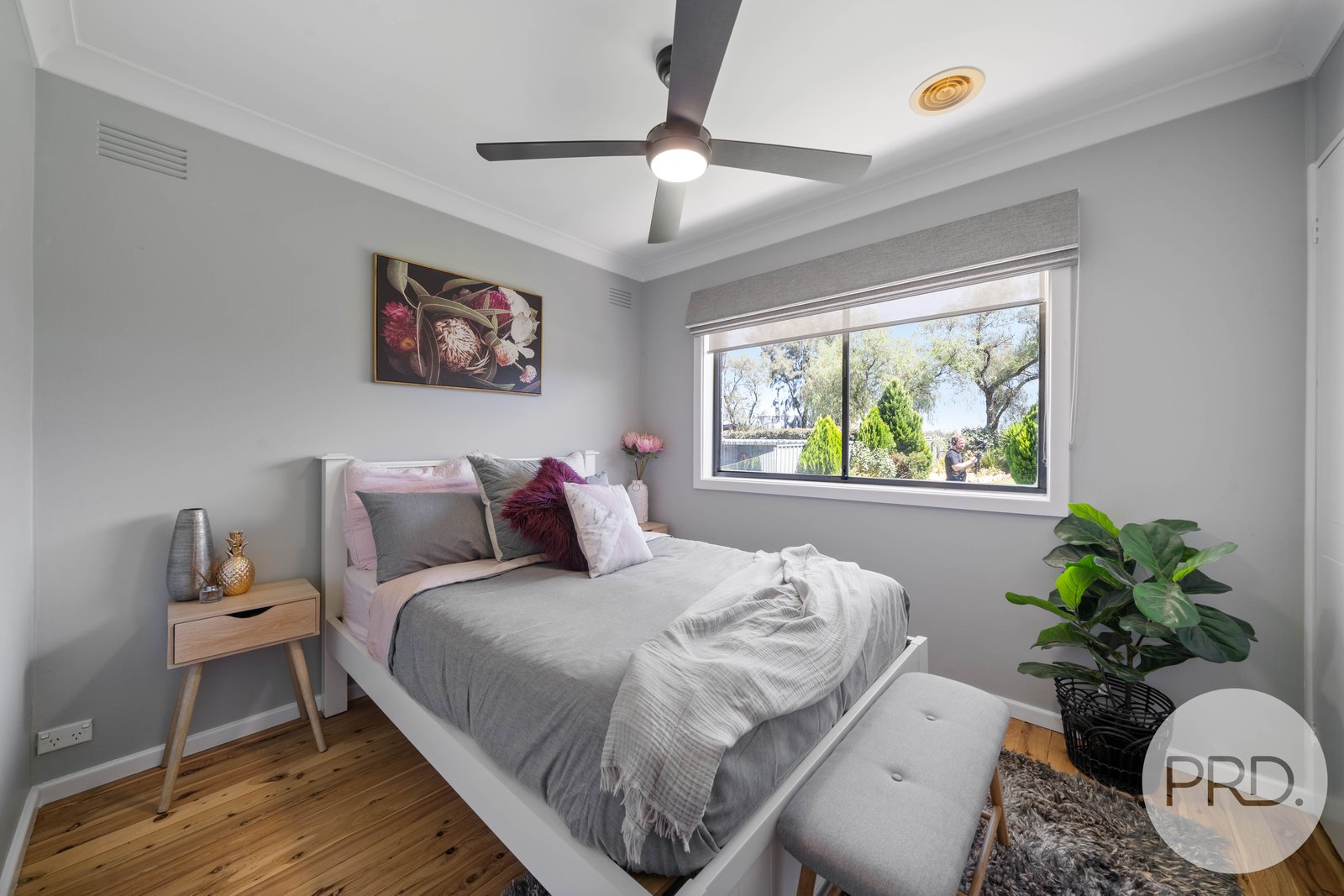 240 Mitchell Road LAKE ALBERT 13