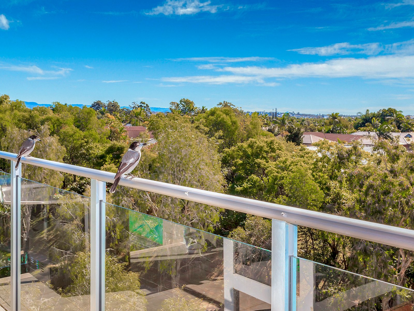 2401/12 Executive Drive BURLEIGH WATERS 6