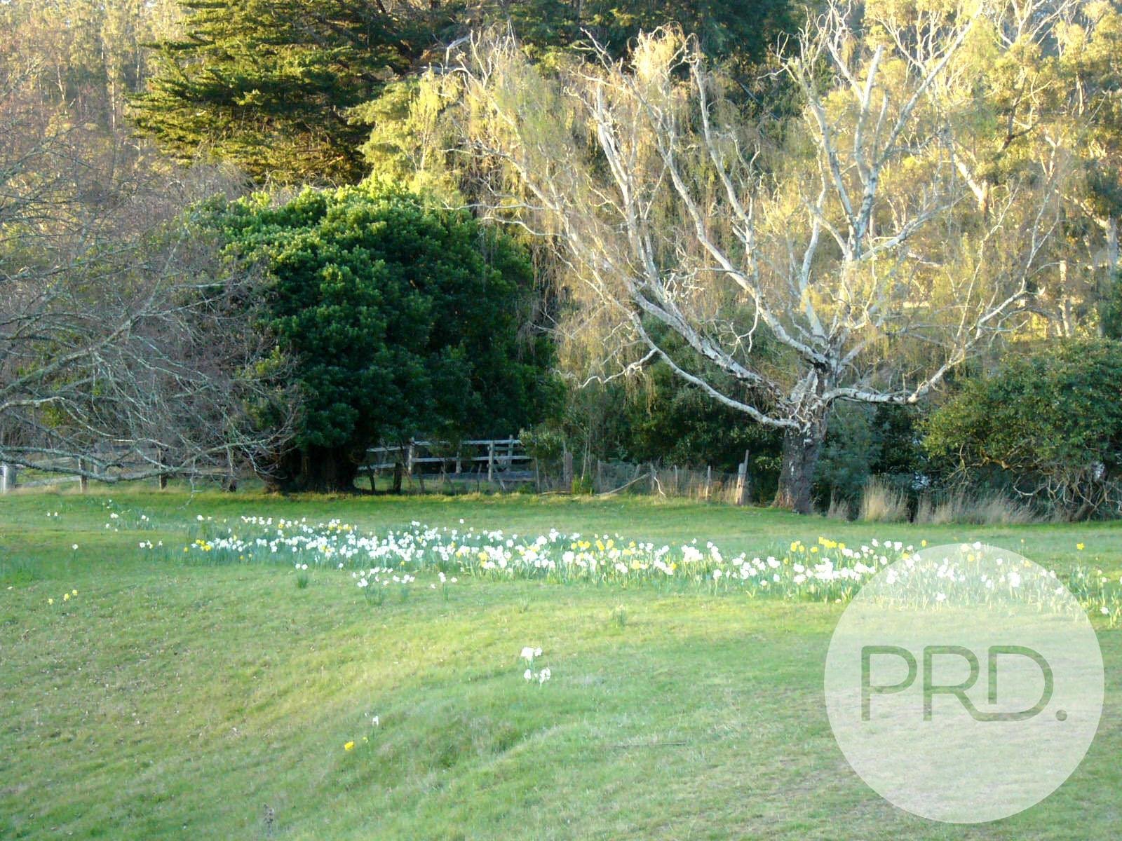 241 Chauncy Vale Road BAGDAD 8