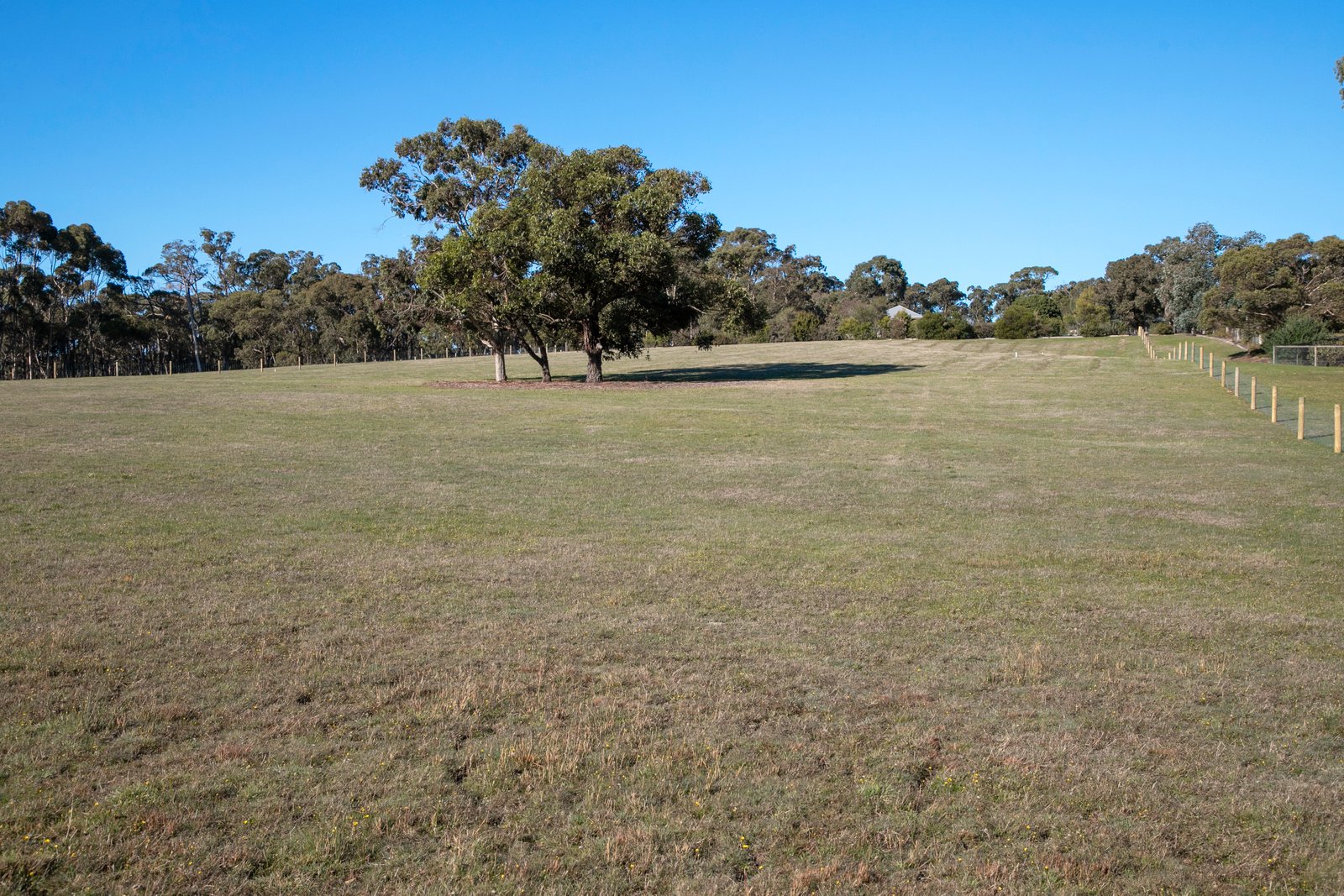 241 Kennedys Road SMYTHES CREEK 7