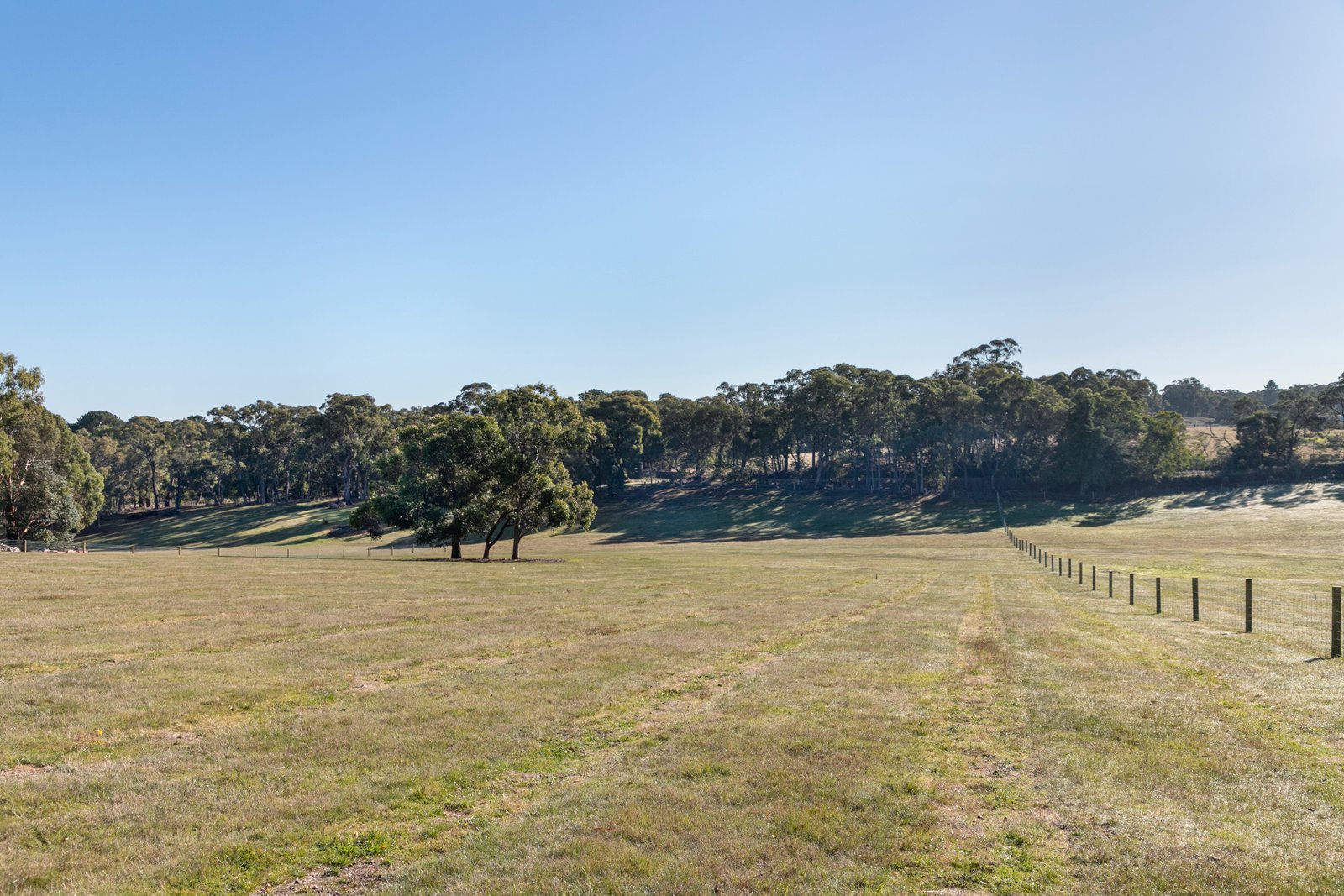 241 Kennedys Road SMYTHES CREEK 8