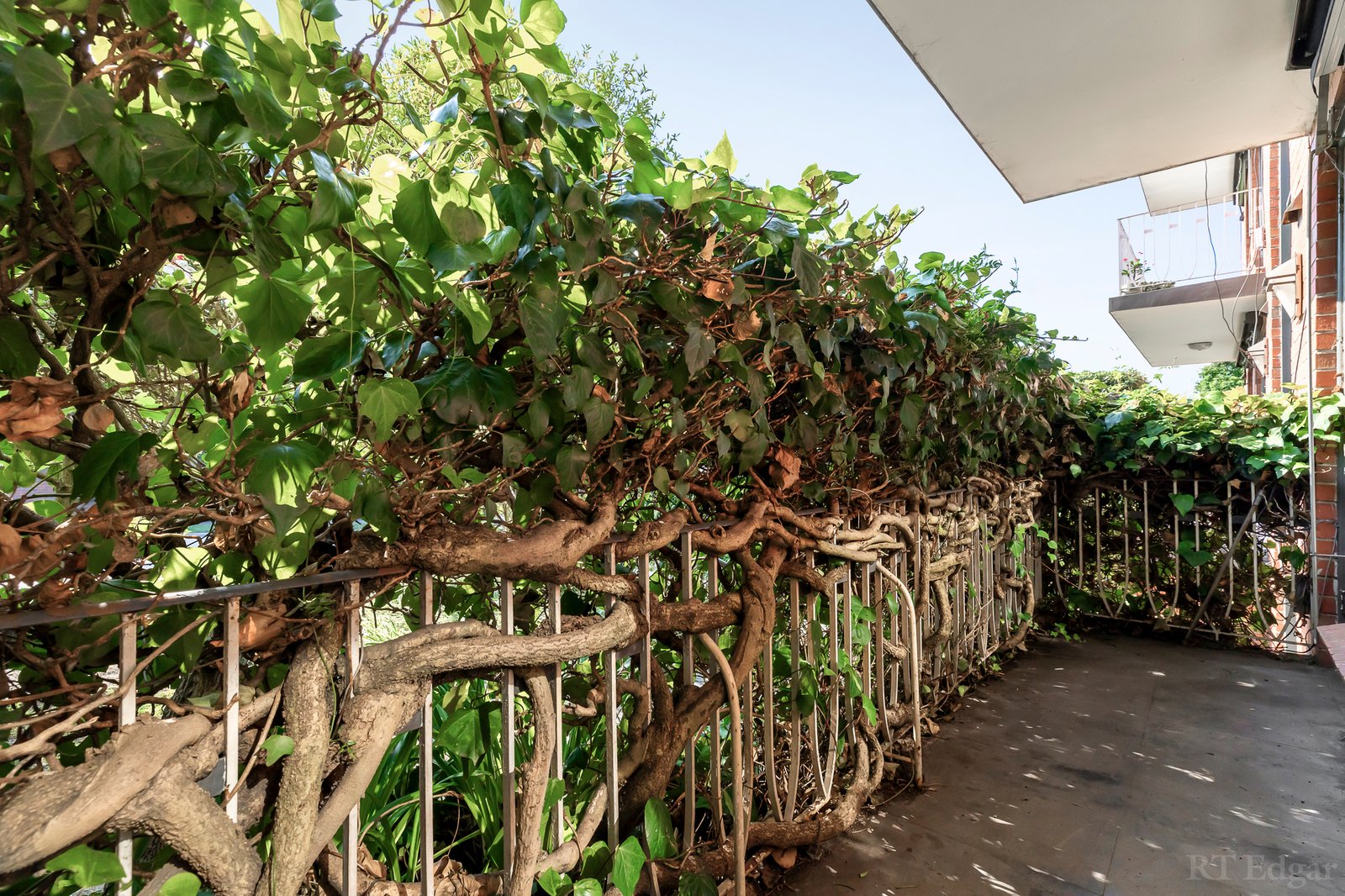 Real Estate and Property in 2/414 Glenferrie Road, Kooyong, VIC