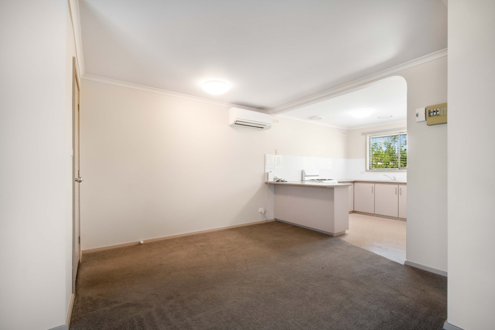Gallery: 2/416 Forest Street