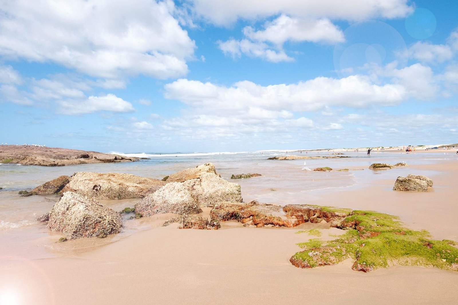 2/42 Campbell Avenue ANNA BAY 12