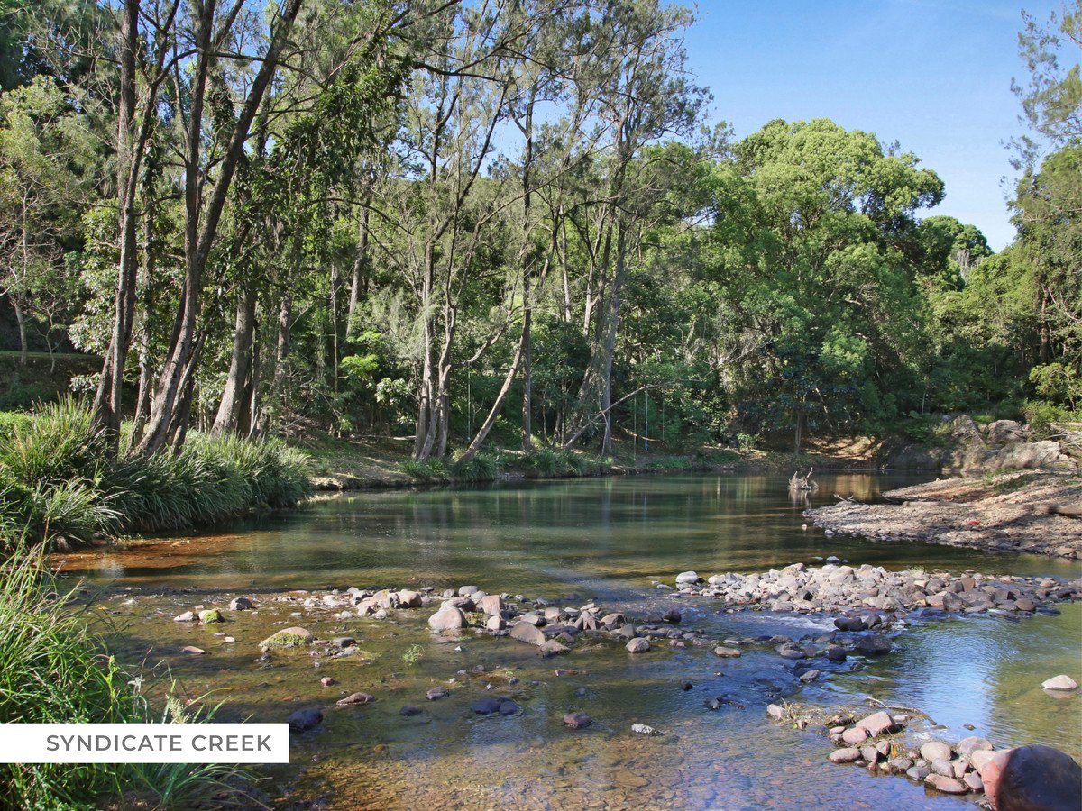 242 Syndicate Road Tallebudgera 34