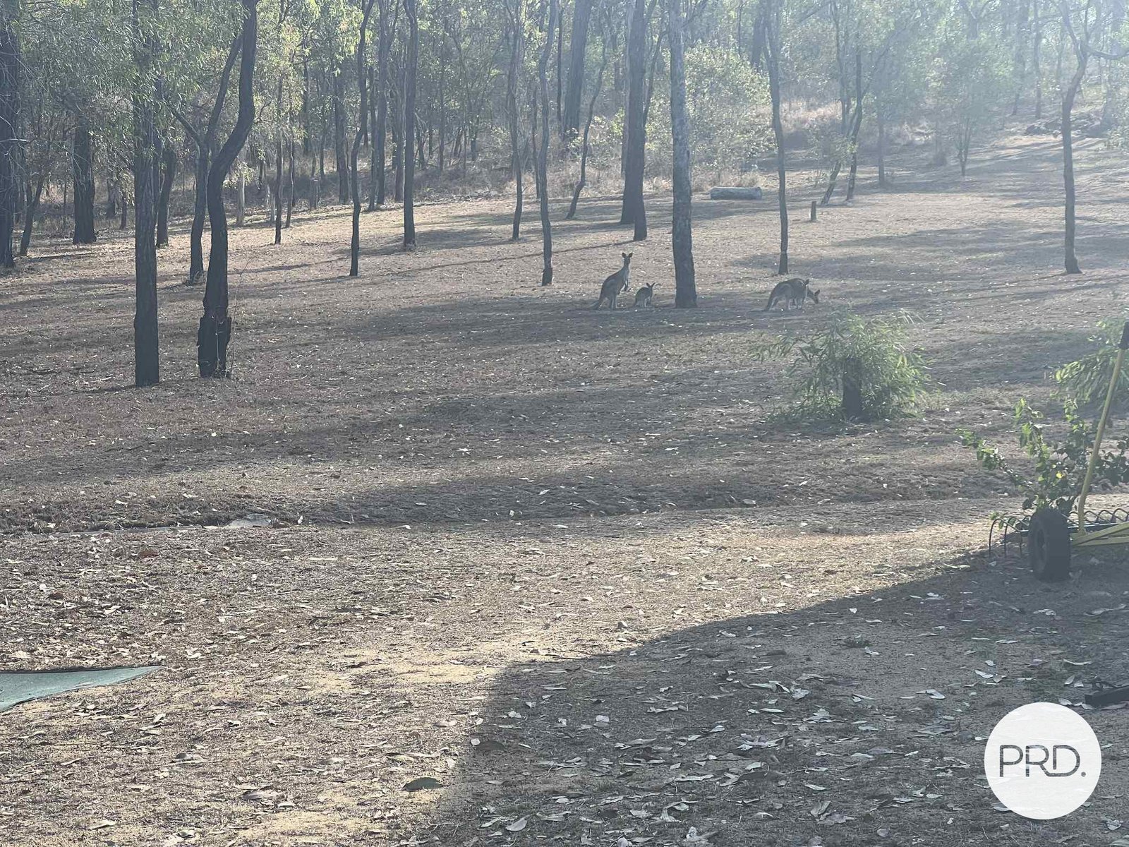 243 Messmate Drive MIRIAM VALE 9