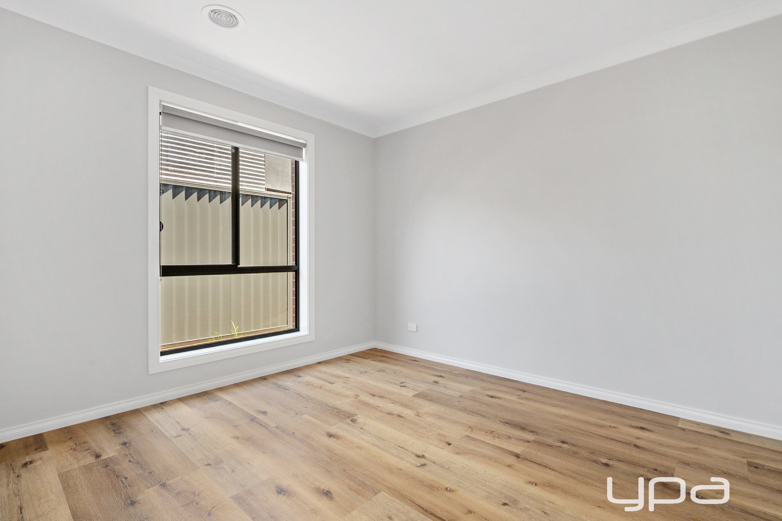 Gallery: 2/44 Albion Street