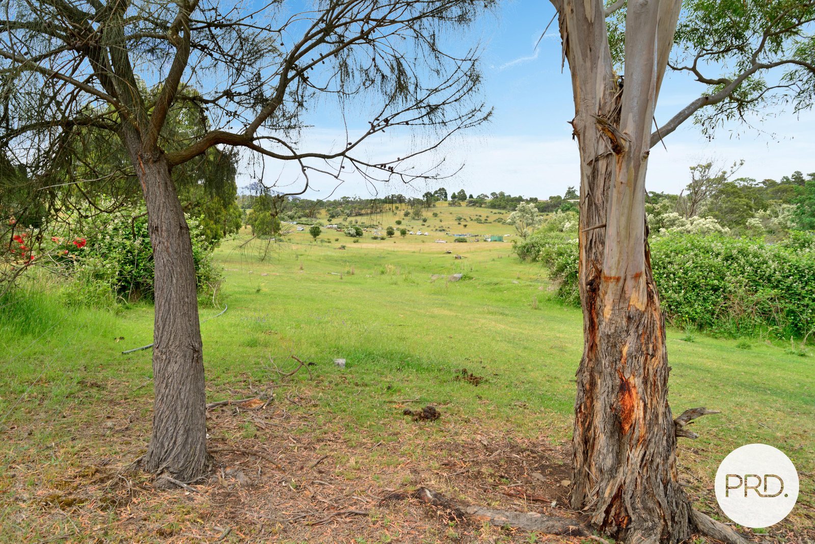 244 Molesworth Road MOLESWORTH 3