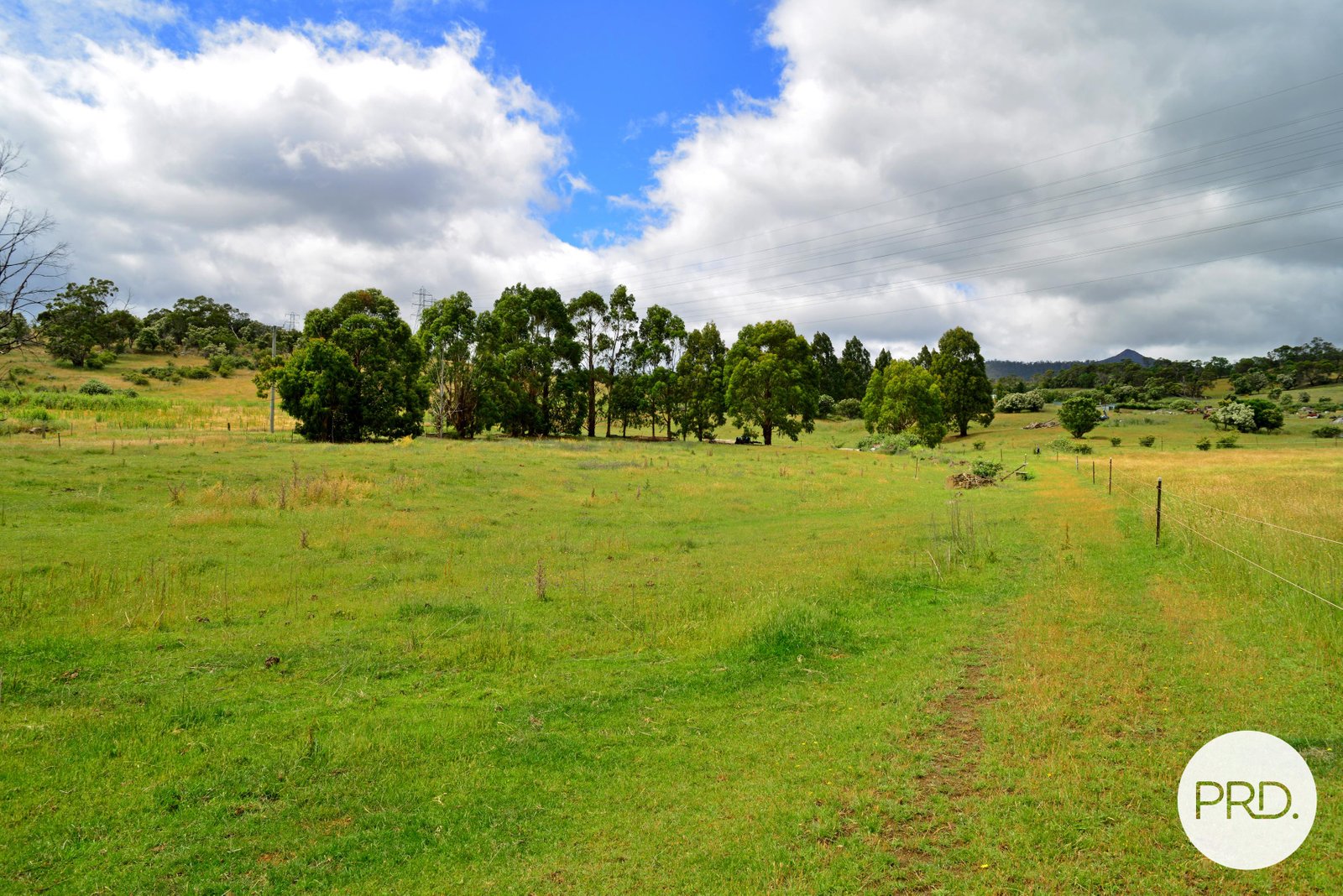 244 Molesworth Road MOLESWORTH 11