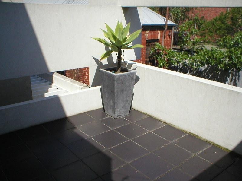 Gallery: 244 Moray Street