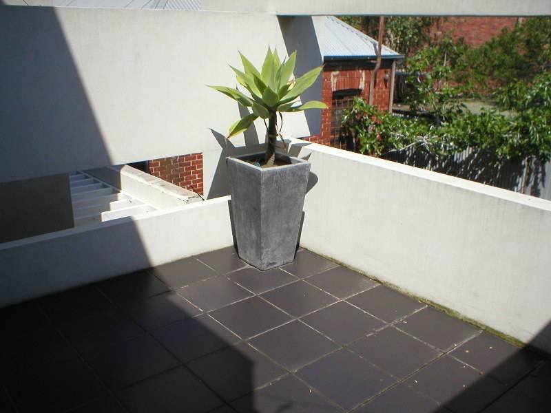 Gallery: 244 Moray Street