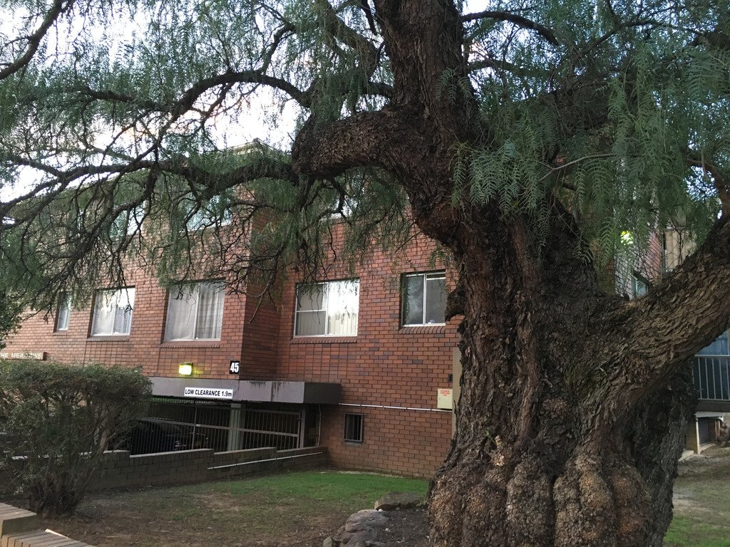 2/45-47 Victoria Street WERRINGTON 2