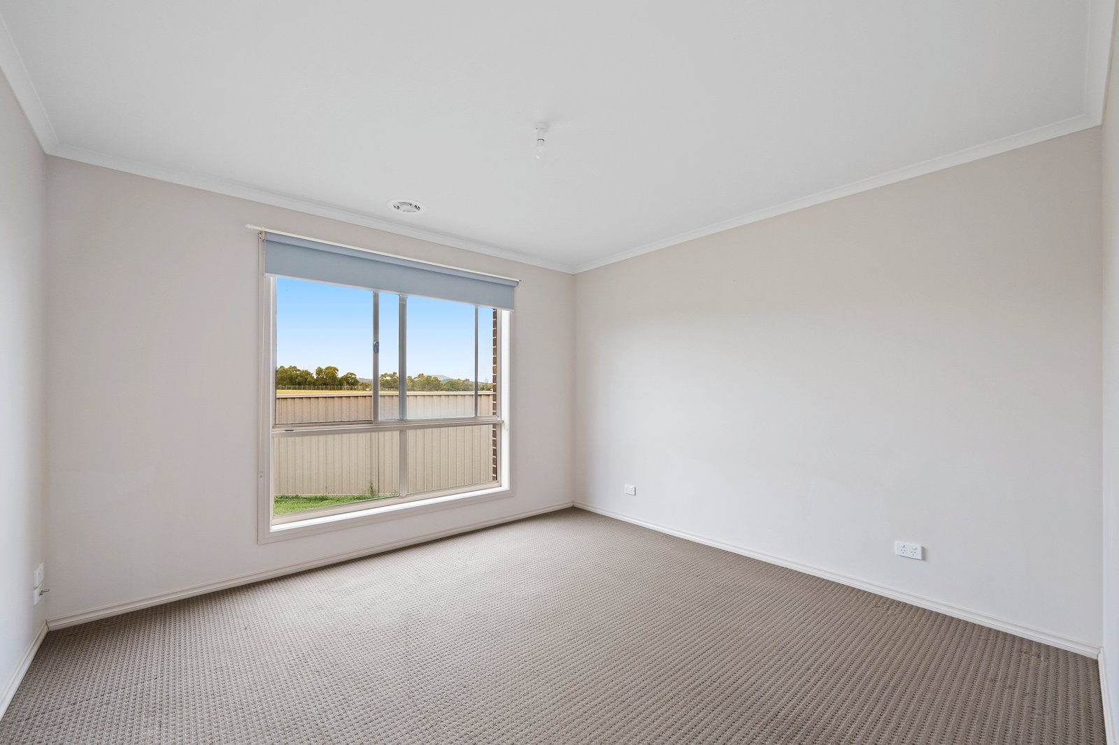 245 Kossuth Street SEBASTOPOL 7