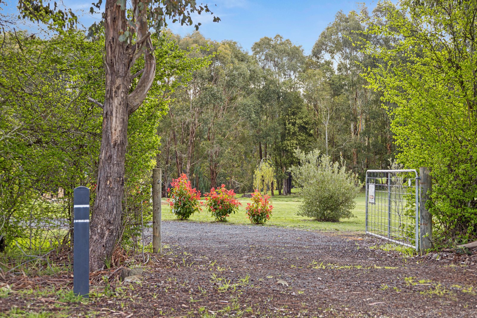 245 Ridge Road SAILORS HILL 9