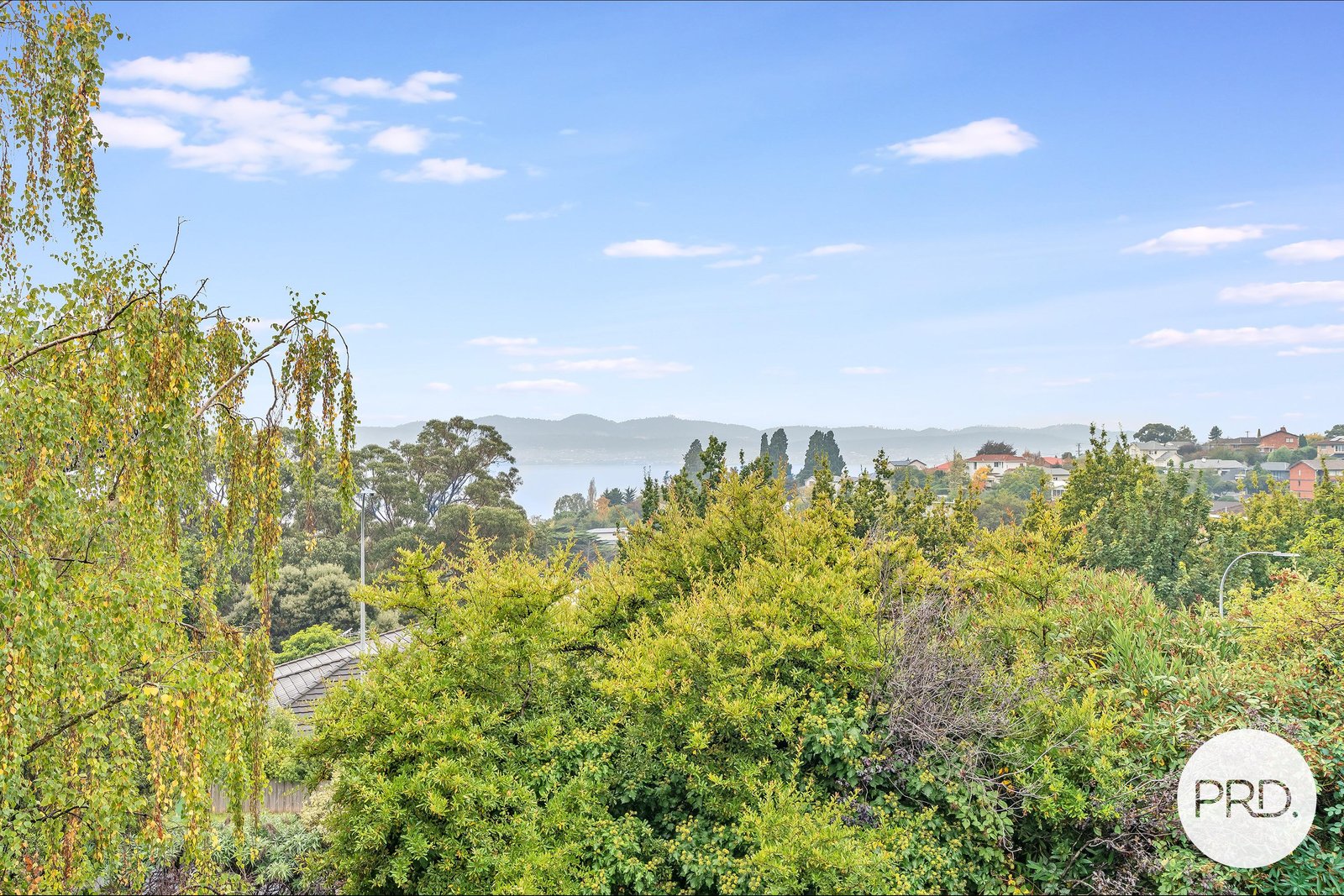 246 Churchill Avenue SANDY BAY 11