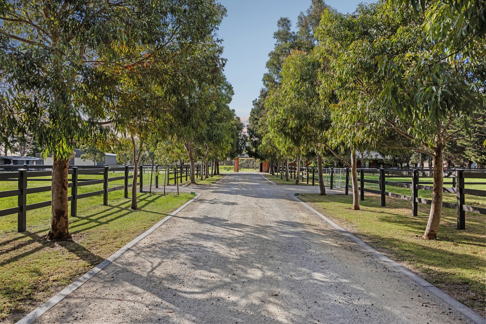 Gallery: 246 McMahens Road
