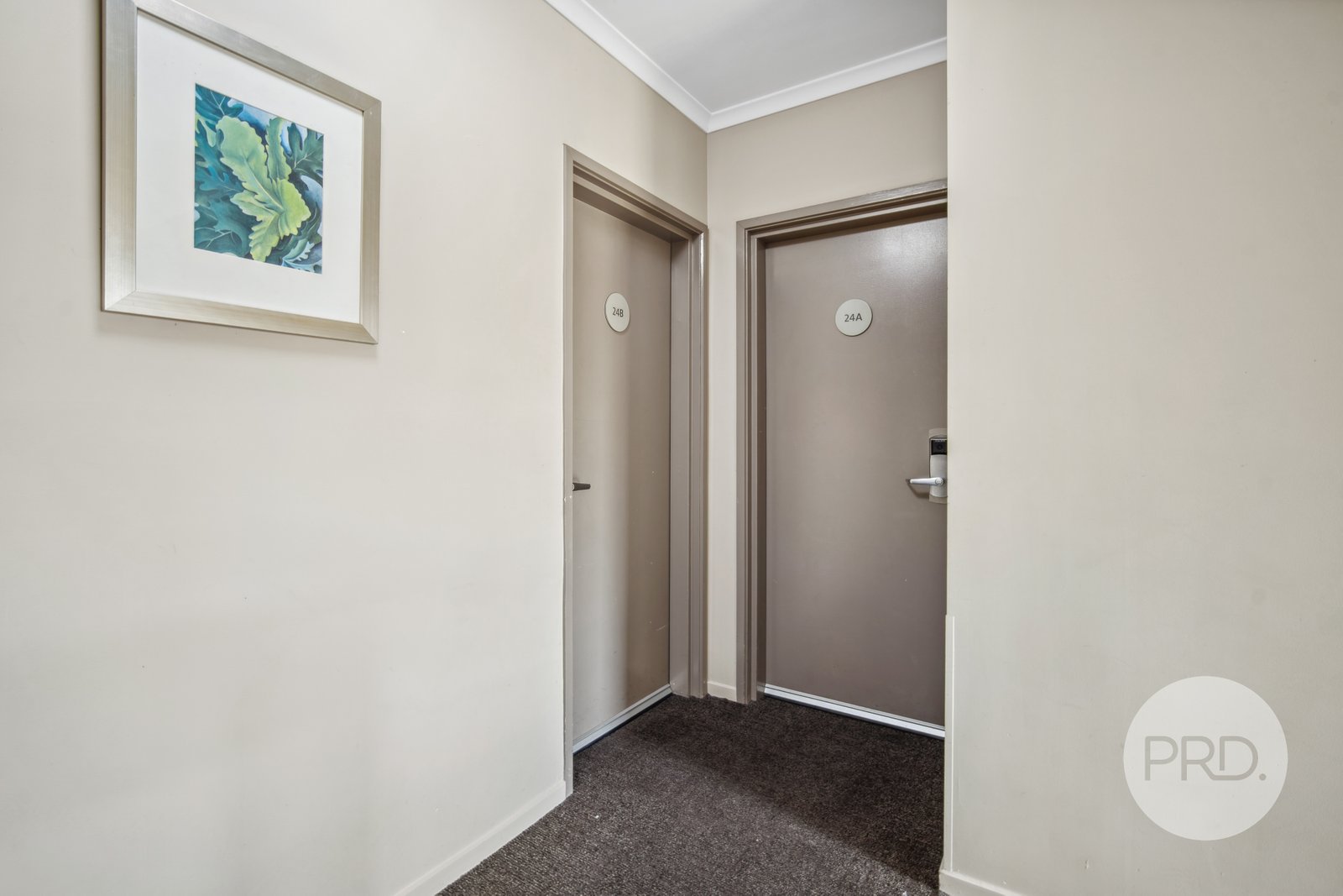 24/69 Gurwood Street WAGGA WAGGA 6