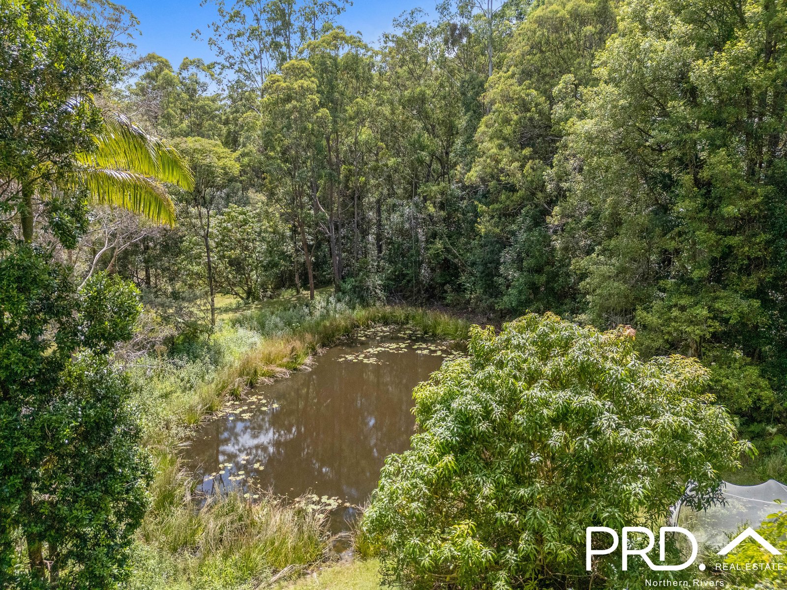 247 Davis Road KYOGLE 19