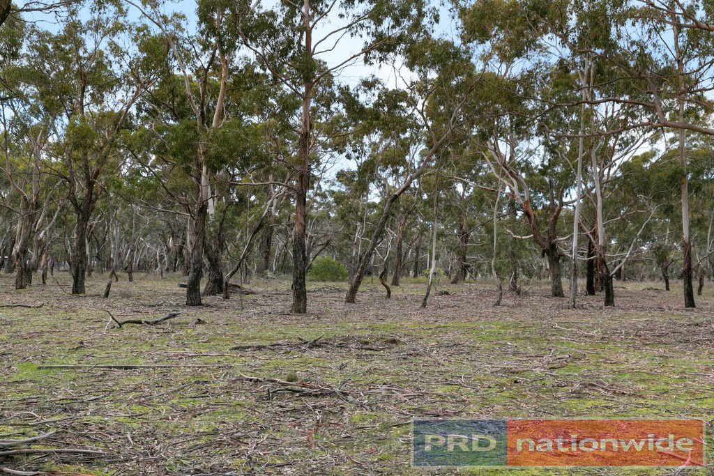248 Browns Road DEREEL 6