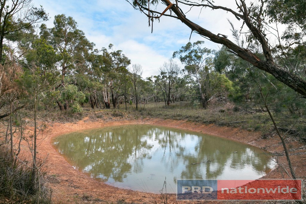 248 Browns Road DEREEL 7