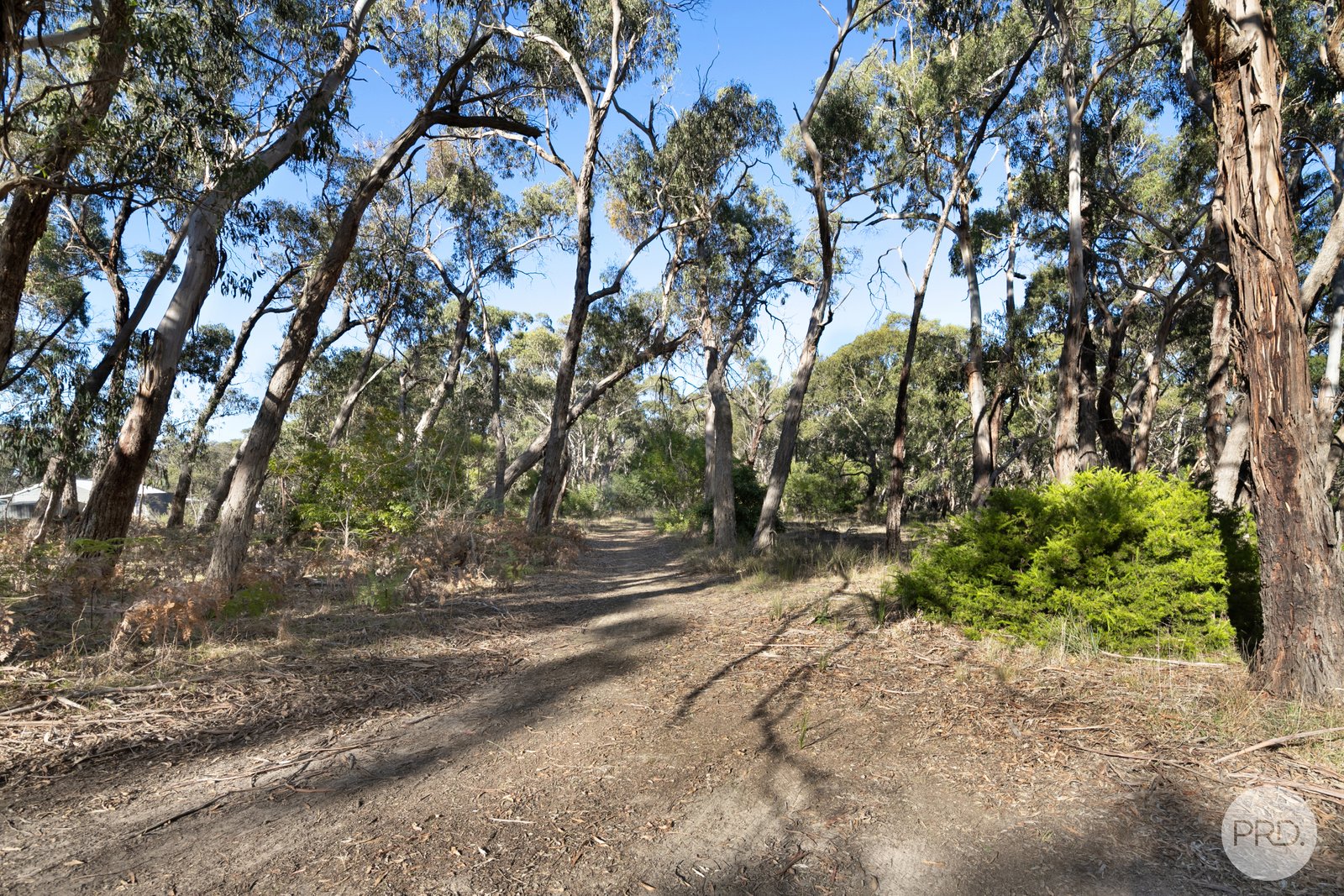 248 Browns Road DEREEL 8