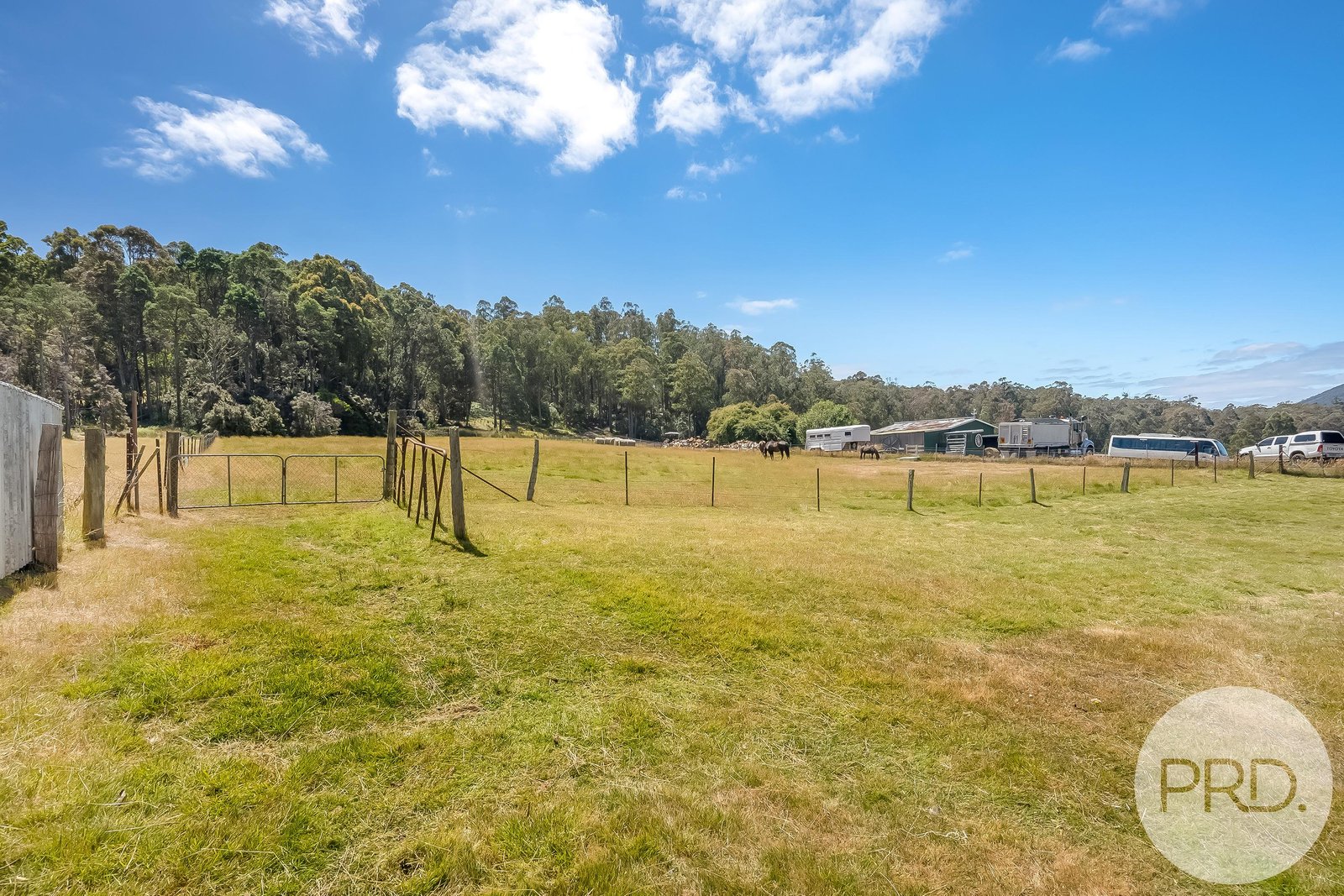248 Springdale Road COLLINSVALE 29