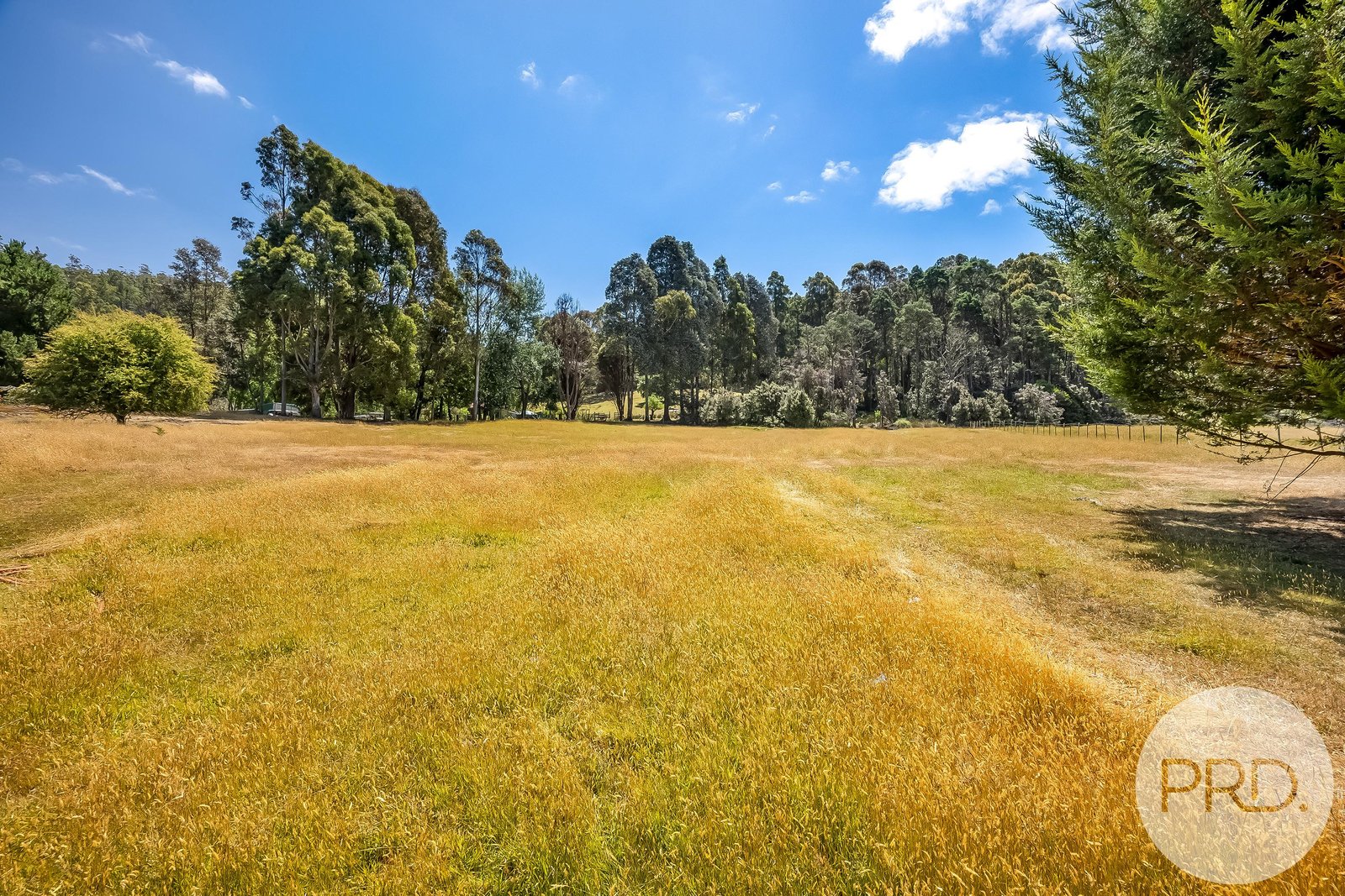 248 Springdale Road COLLINSVALE 30
