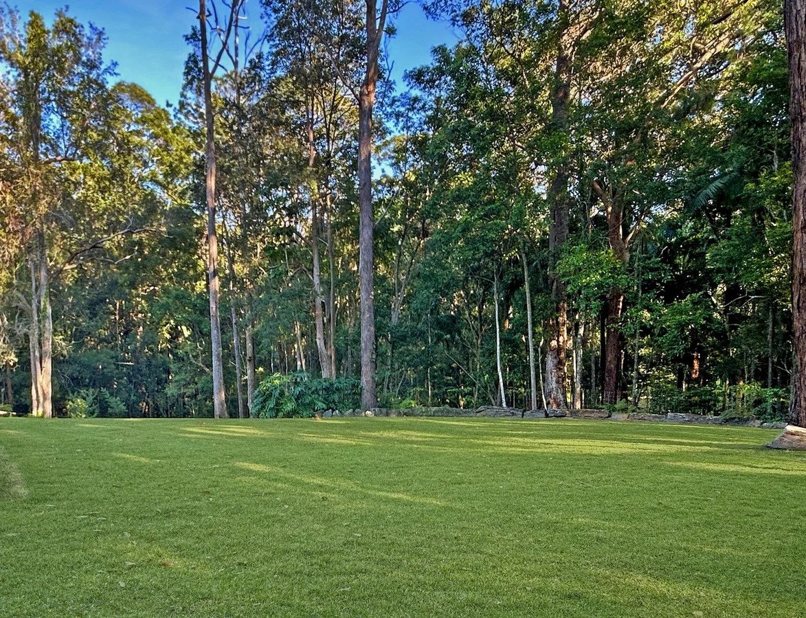248 Trees Road Tallebudgera 24