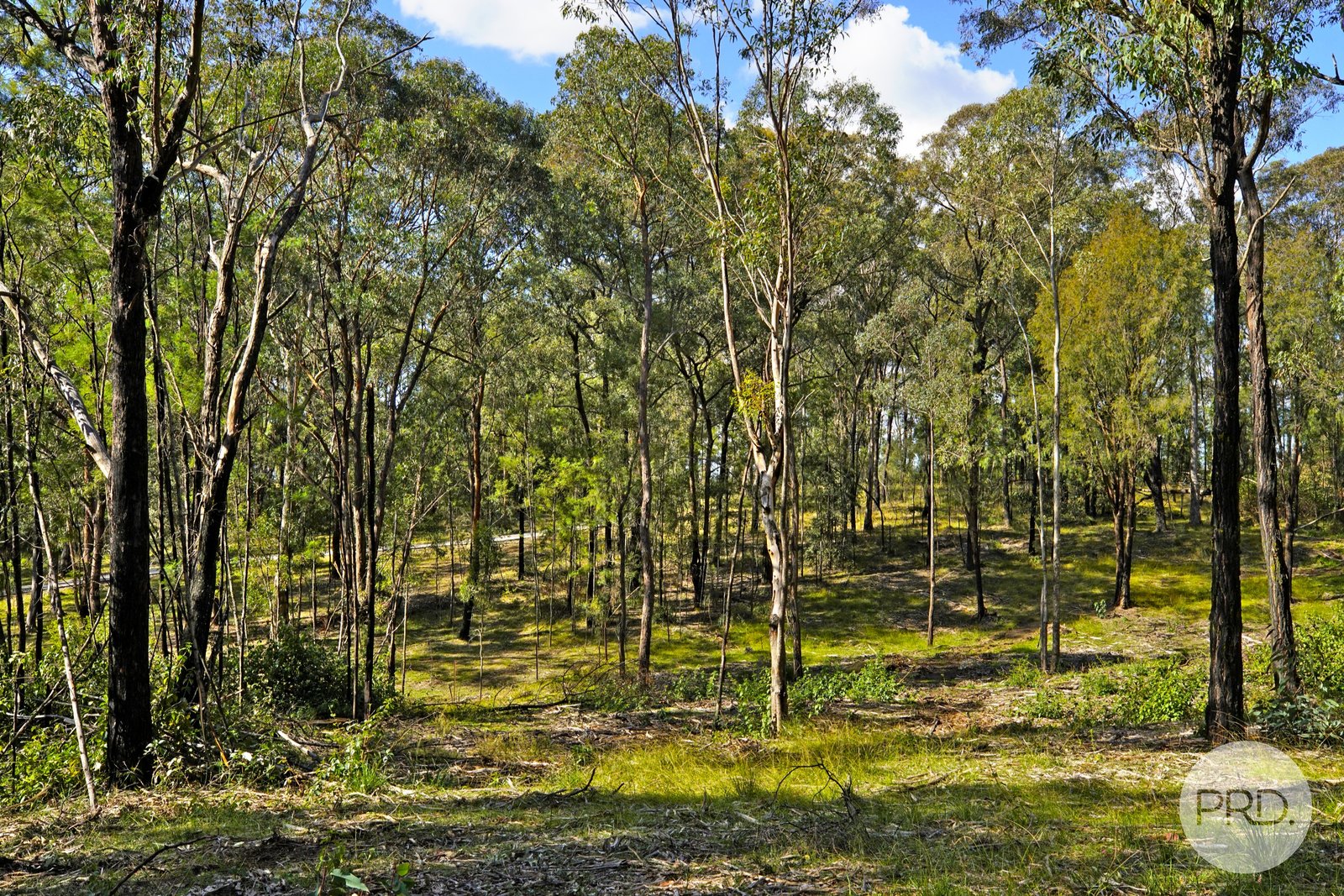 2485 Silverdale Road WALLACIA 15