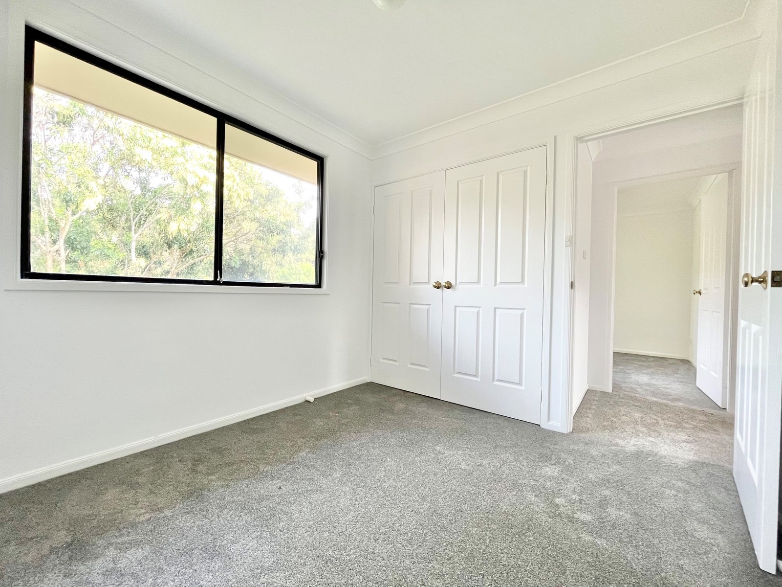 2/49-53 Bonito Street CORLETTE 12