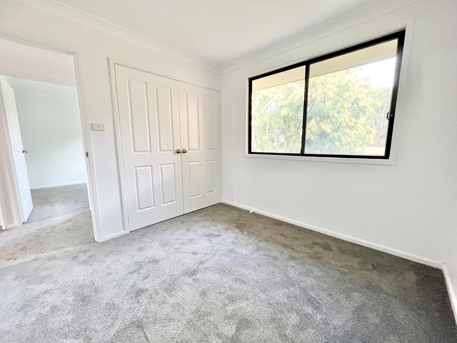 2/49-53 Bonito Street CORLETTE 13