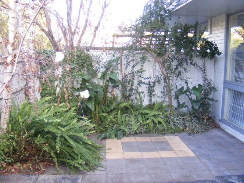 Gallery: 2/49 Balcombe Road