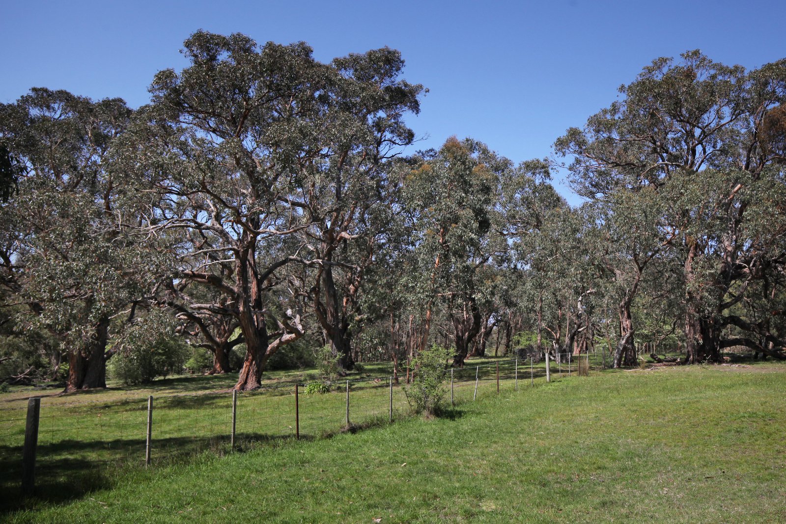 Real Estate and Property in 249 Couangalt Road, Gisborne South, VIC