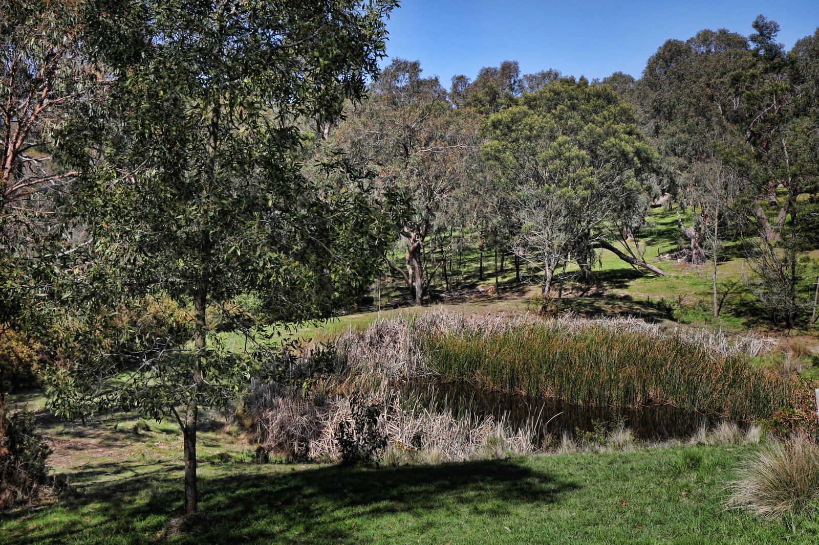 Real Estate and Property in 249 Couangalt Road, Gisborne South, VIC